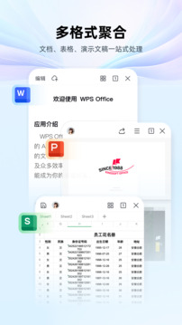 wps office解锁高级会员版宣传图2