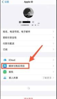 iphone允许app请求跟踪怎么打不开